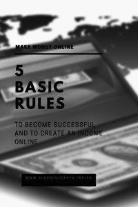 5 rules to become successful and to make money online