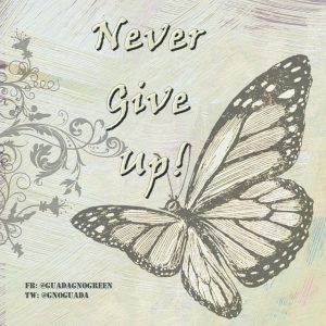 never_give_up-guadagnogreen